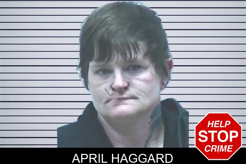 April Haggard mugshot