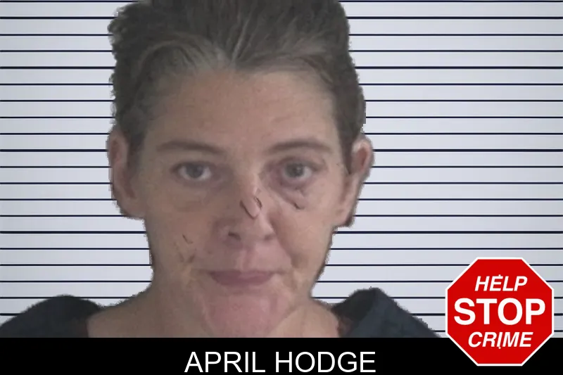 April Hodge mugshot – Brantley County , Georgia April Hodge mugshot