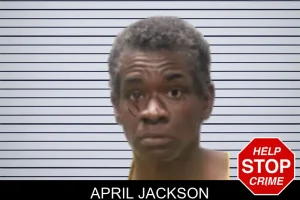 April Jackson mugshot