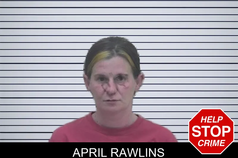 April Rawlins mugshot