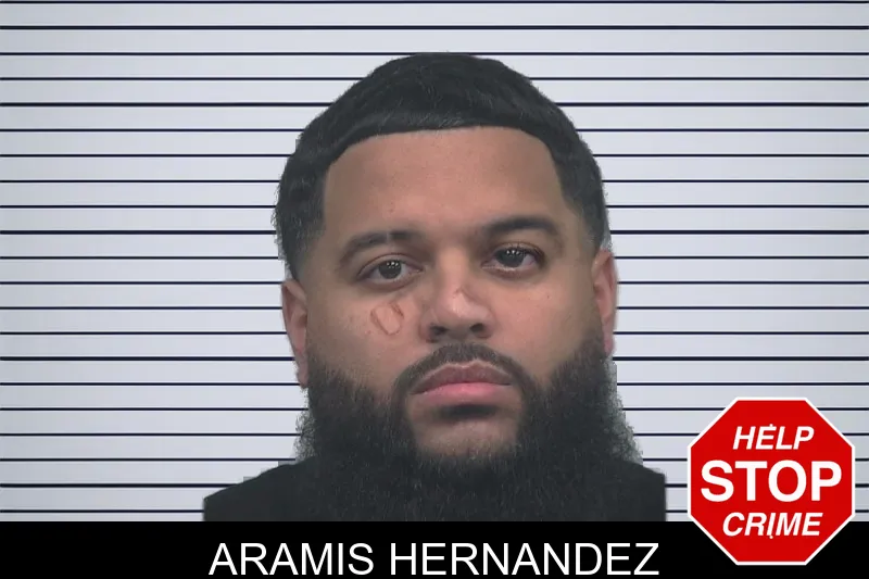 Aramis Hernandez mugshot