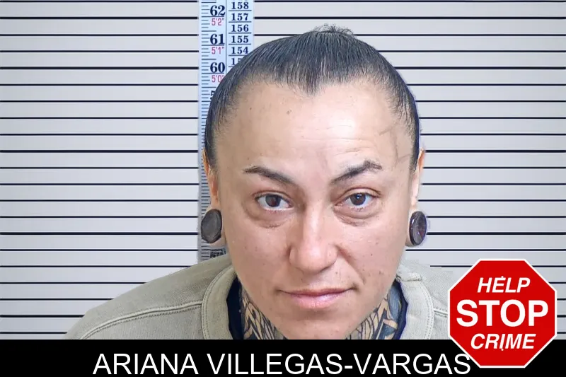 Ariana Villegas-Vargas mugshot