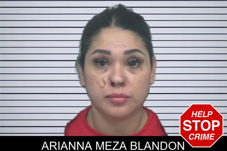 Arianna Meza Blandon mugshot – Gwinnett County , Georgia Arianna Meza Blandon