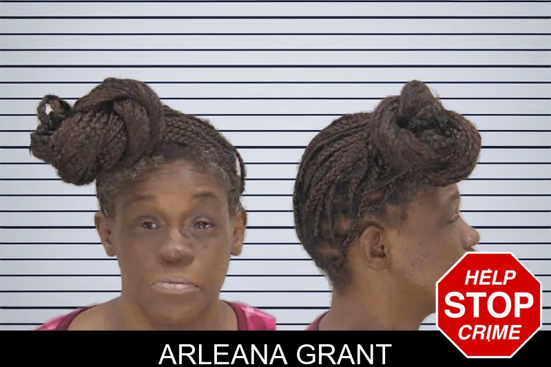 Arleana Grant mugshot