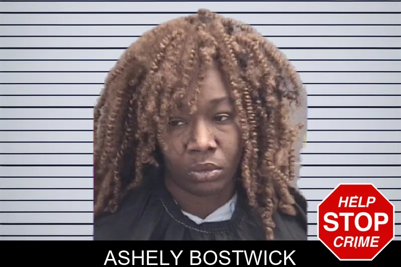 Ashely Bostwick mugshot – Spalding County , Georgia Ashely Bostwick mugshot