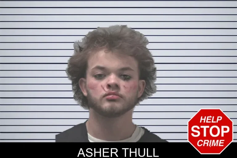 Asher Thull mugshot – Coweta County , Georgia Asher Thull
