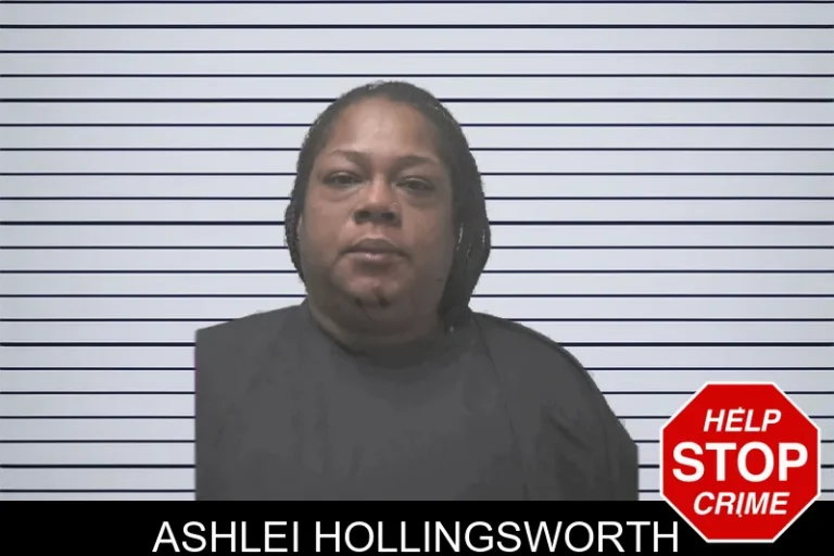 Ashlei Hollingsworth