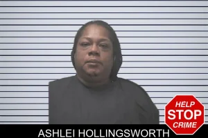 Ashlei Hollingsworth mugshot