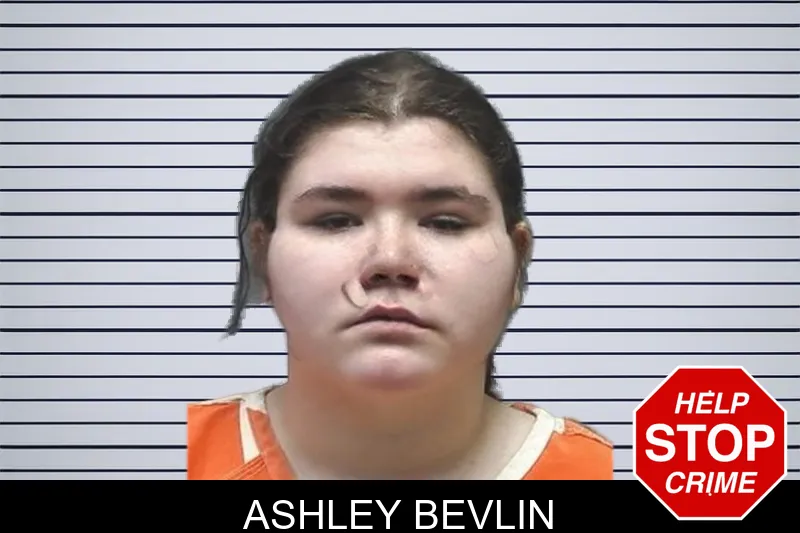 Ashley Bevlin mugshot