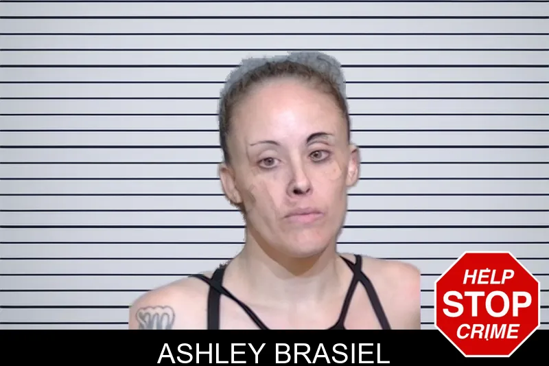 Ashley Brasiel mugshot – Glynn County , Georgia Ashley Brasiel mugshot