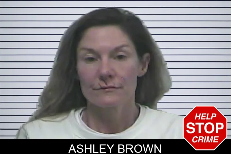 Ashley Brown mugshot