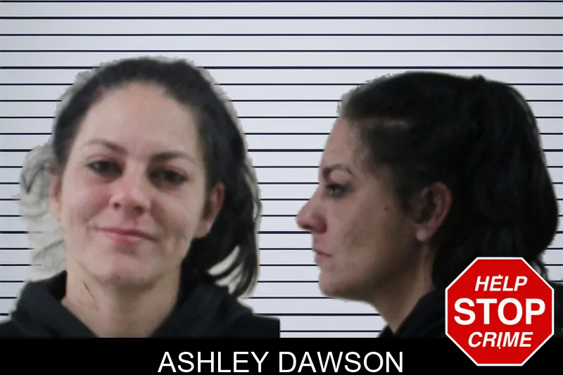 Ashley Dawson mugshot