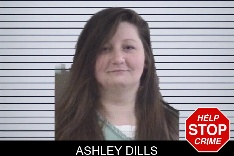 Ashley Dills mugshot – Whitfield County , Georgia Ashley Dills mugshot