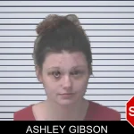 Ashley Gibson mugshot