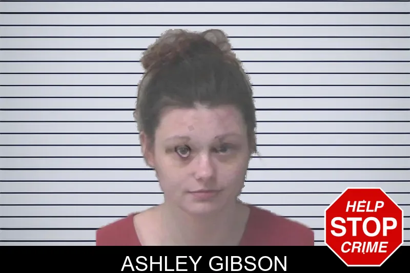 Ashley Gibson mugshot