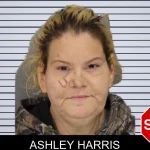 Ashley Harris mugshot – Cobb County , Georgia Ashley Harris mugshot