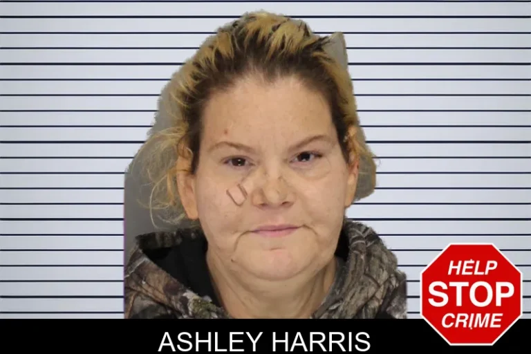 Ashley Harris mugshot – Cobb County , Georgia Ashley Harris