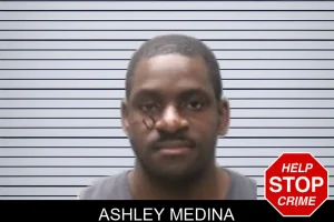 Ashley Medina mugshot