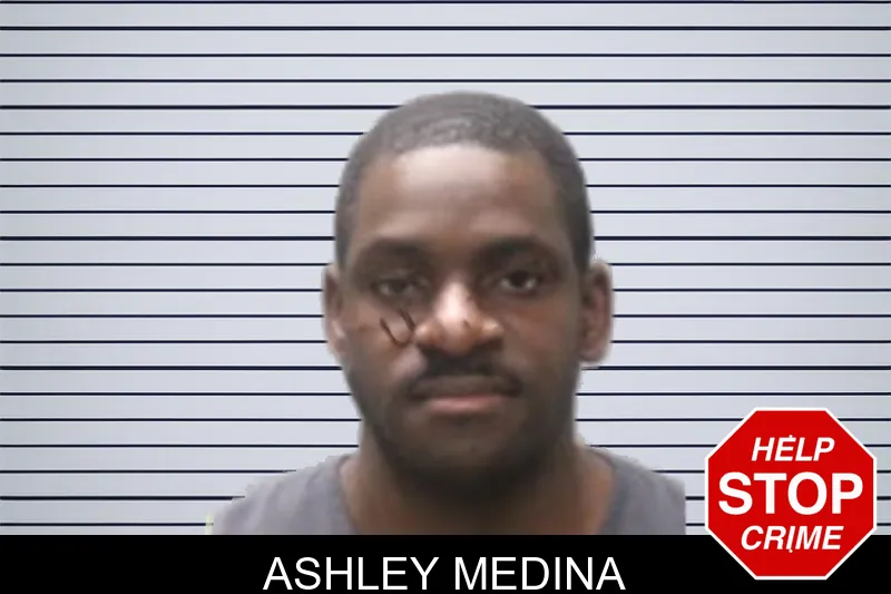 Ashley Medina mugshot