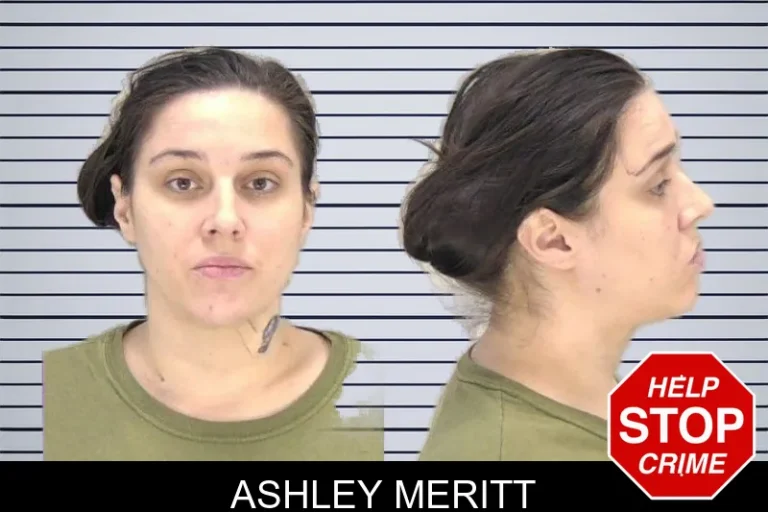 Ashley Meritt