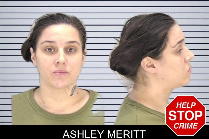 Ashley Meritt mugshot