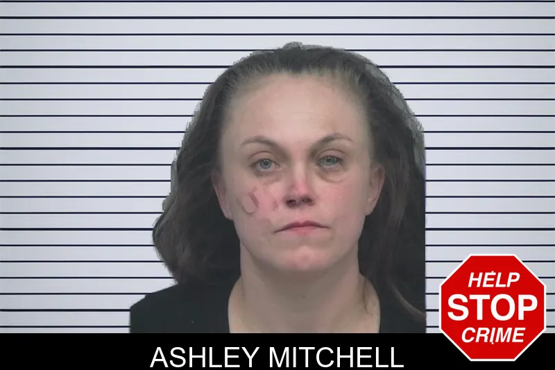 Ashley Mitchell mugshot – Gwinnett County , Georgia Ashley Mitchell mugshot
