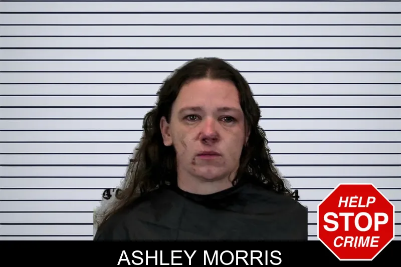 Ashley Morris mugshot