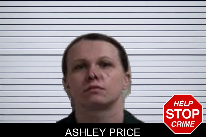Ashley Price mugshot