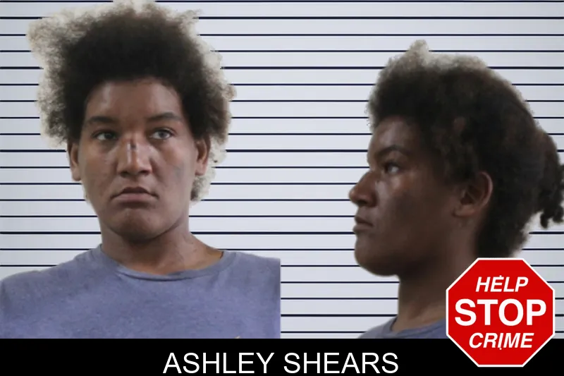 Ashley Shears mugshot – Houston County , Georgia Ashley Shears mugshot