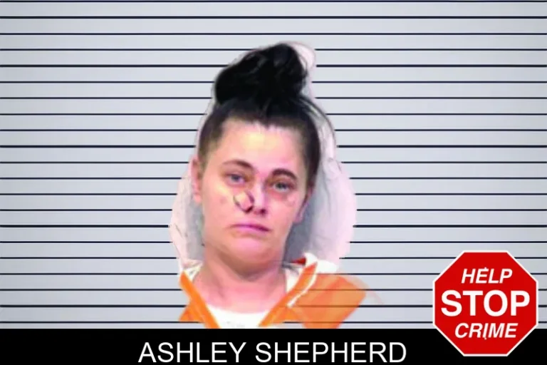 Ashley Shepherd