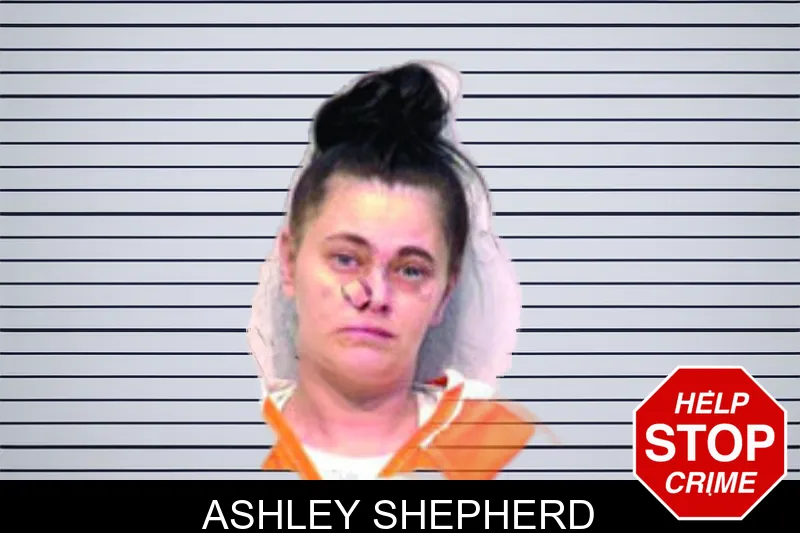 Ashley Shepherd mugshot