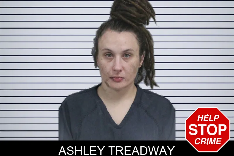 Ashley Treadway mugshot – Catoosa County , Georgia Ashley Treadway mugshot