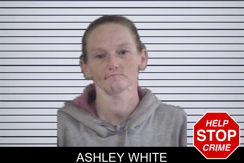 Ashley White mugshot
