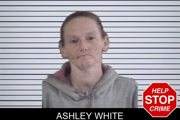 Ashley White mugshot – Whitfield County , Georgia Ashley White