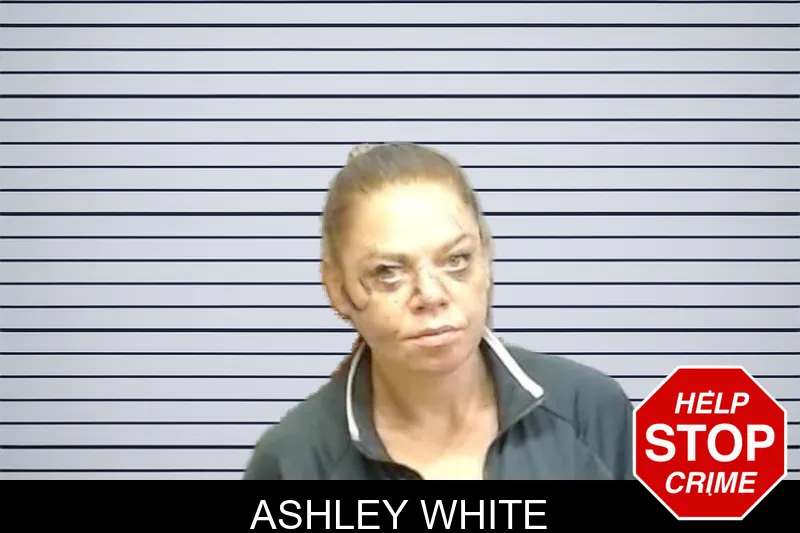 Ashley White mugshot – Fulton County , Georgia Ashley White mugshot