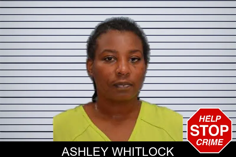 Ashley Whitlock mugshot