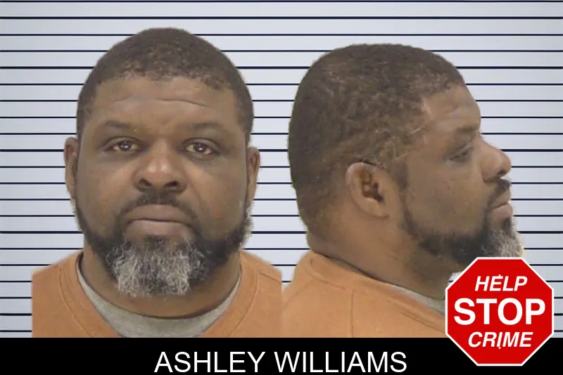 Ashley Williams mugshot