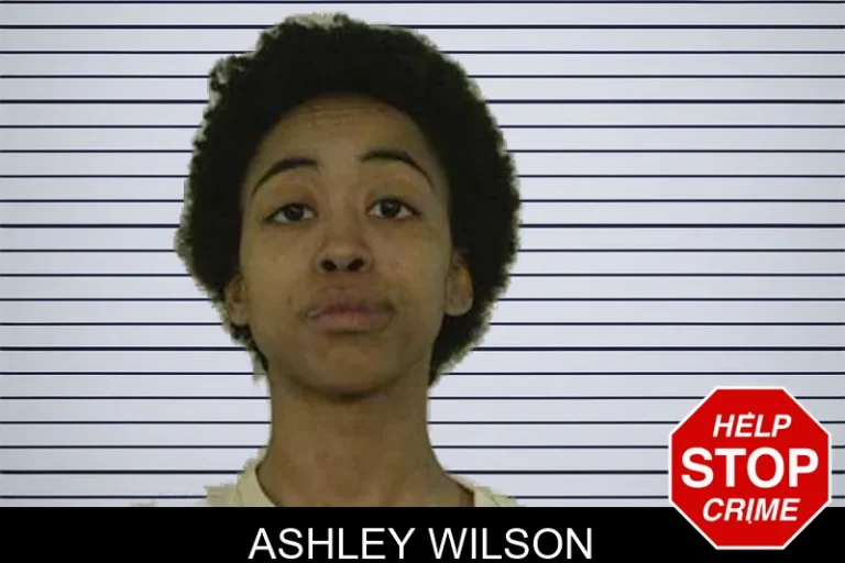 Ashley Wilson mugshot – Liberty County , Georgia Ashley Wilson