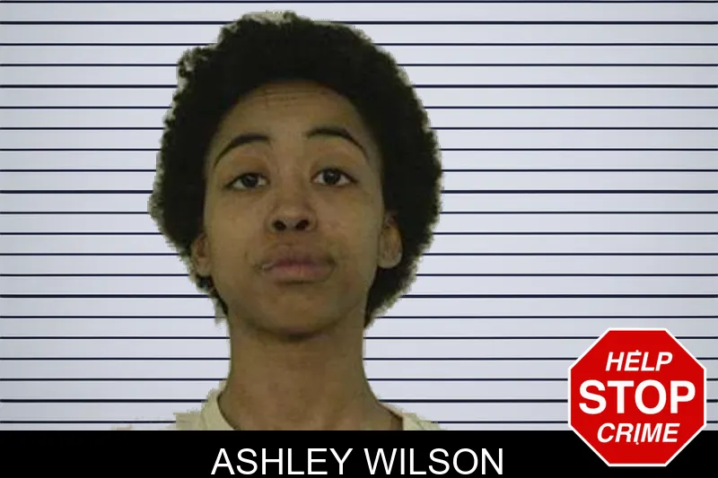 Ashley Wilson mugshot – Liberty County , Georgia Ashley Wilson mugshot