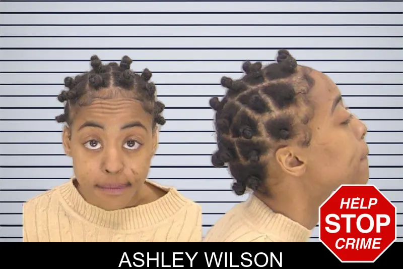 Ashley Wilson mugshot