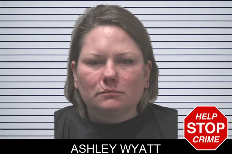 Ashley Wyatt mugshot – Coweta County , Georgia Ashley Wyatt mugshot