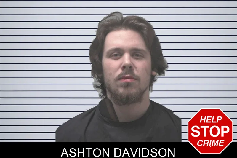 Ashton Davidson mugshot – Coweta County , Georgia Ashton Davidson mugshot