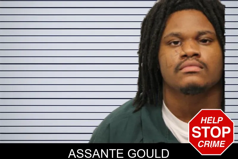 Assante Gould mugshot