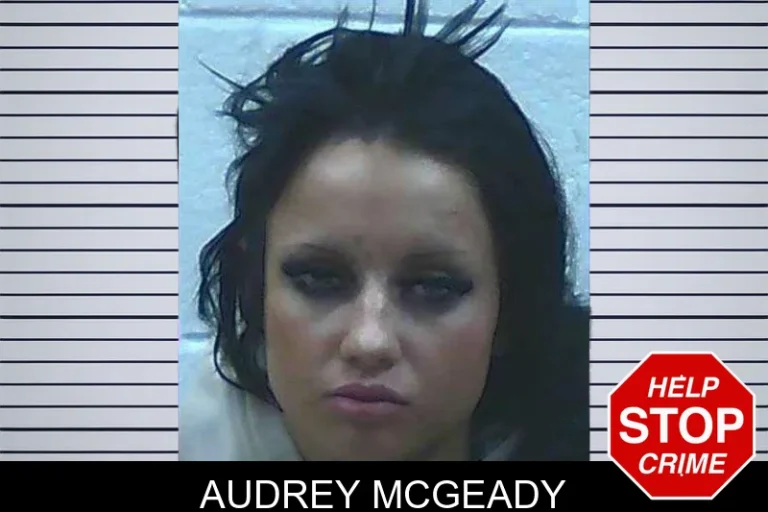 Audrey McGeady mugshot – Jackson County , Georgia Audrey McGeady