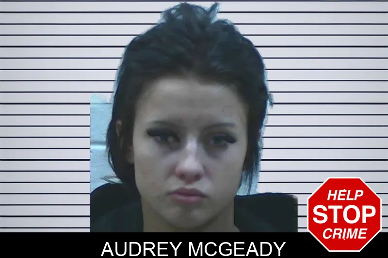Audrey McGeady mugshot – Jackson County , Georgia Audrey McGeady mugshot
