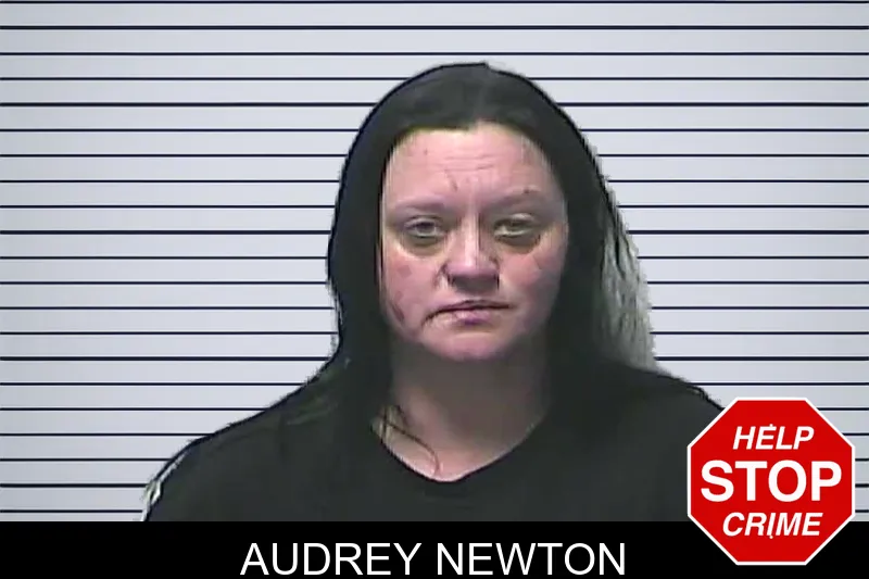 Audrey Newton mugshot – Dawson County , Georgia Audrey Newton mugshot