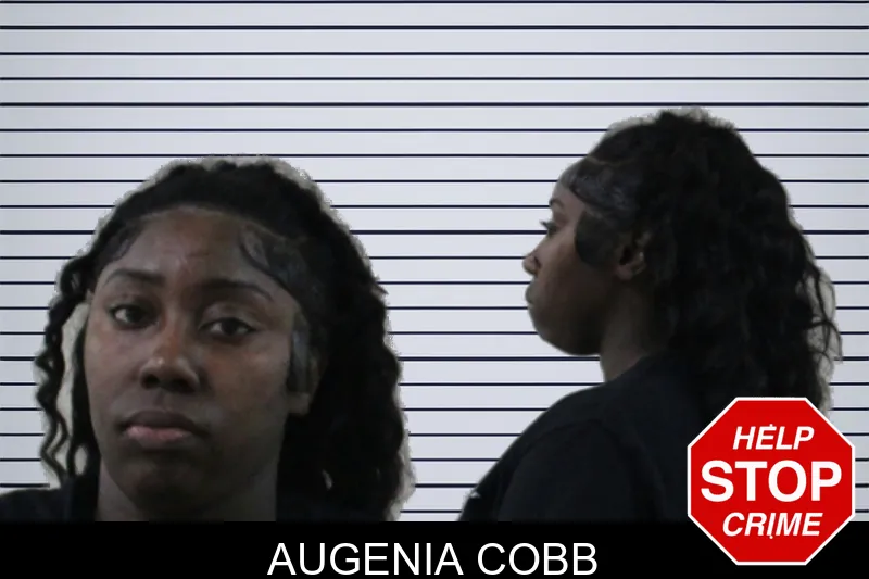 Augenia Cobb mugshot – Houston County , Georgia Augenia Cobb mugshot