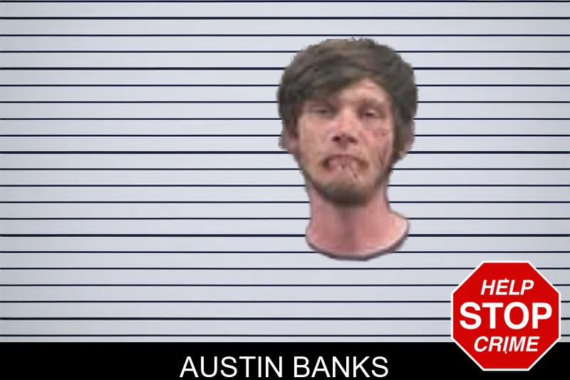 Austin Banks mugshot