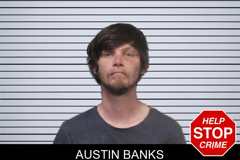 Austin Banks mugshot