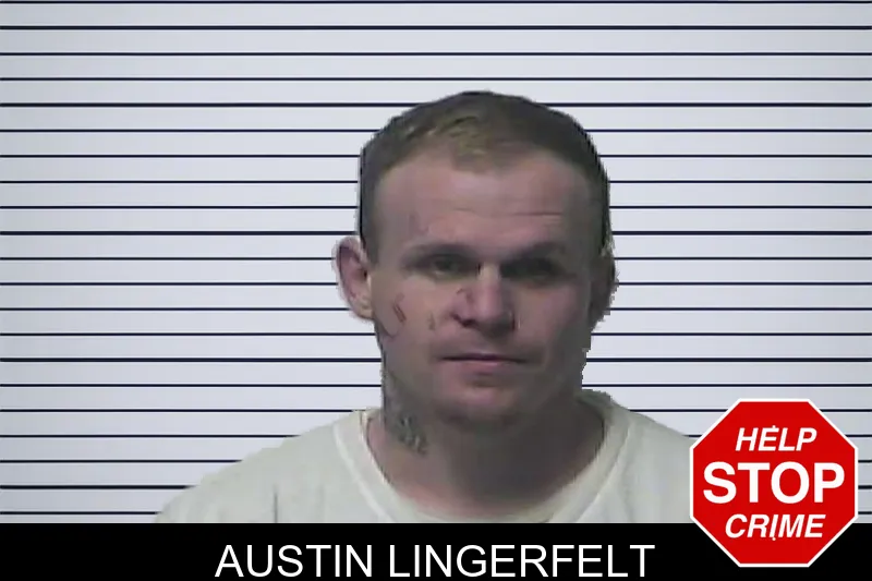 Austin Lingerfelt mugshot